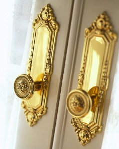 Elegant Door Knobs
