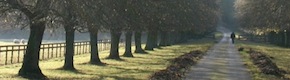 Doug Flanders' Blog: All Truth Is God's Truth