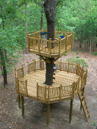 2006 Treehouse