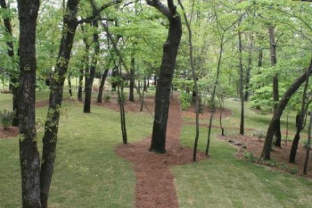 2009 - Spring Project Results