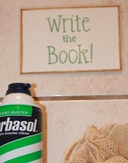 2009 - Write the Book