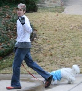 2010 - Walking Dogs