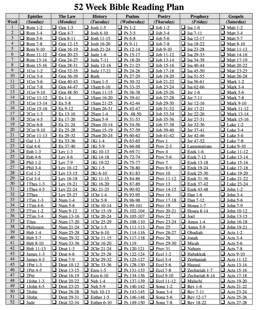 one-year-bible-reading-plan-flanders-family-home-life