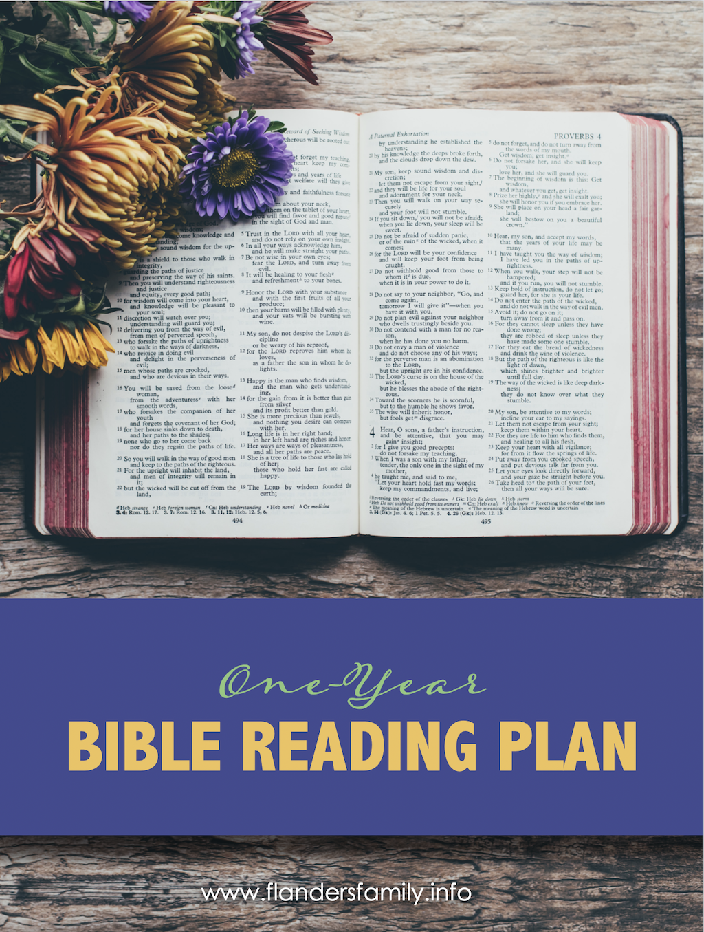 Read through the Bible in a Year