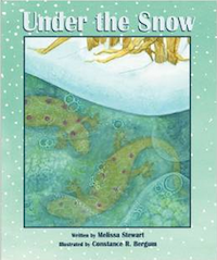 Picture Books about Snow - Under the Snow