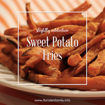 Slightly Addictive Sweet Potato Fries