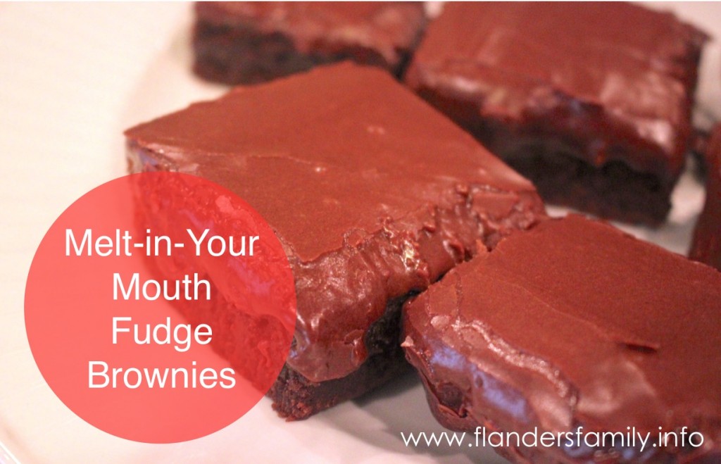 Melt-in-Your-Mouth Fudge Brownies -- try some today. They're absolutely scrumptious!