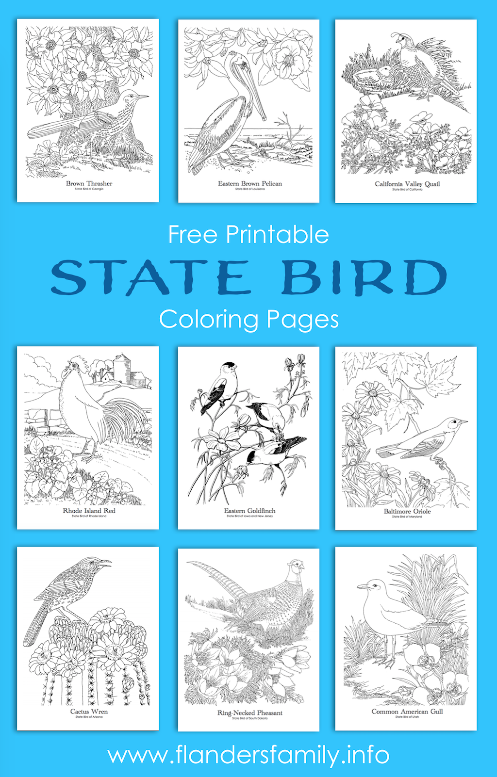 State Birds Coloring Pages
