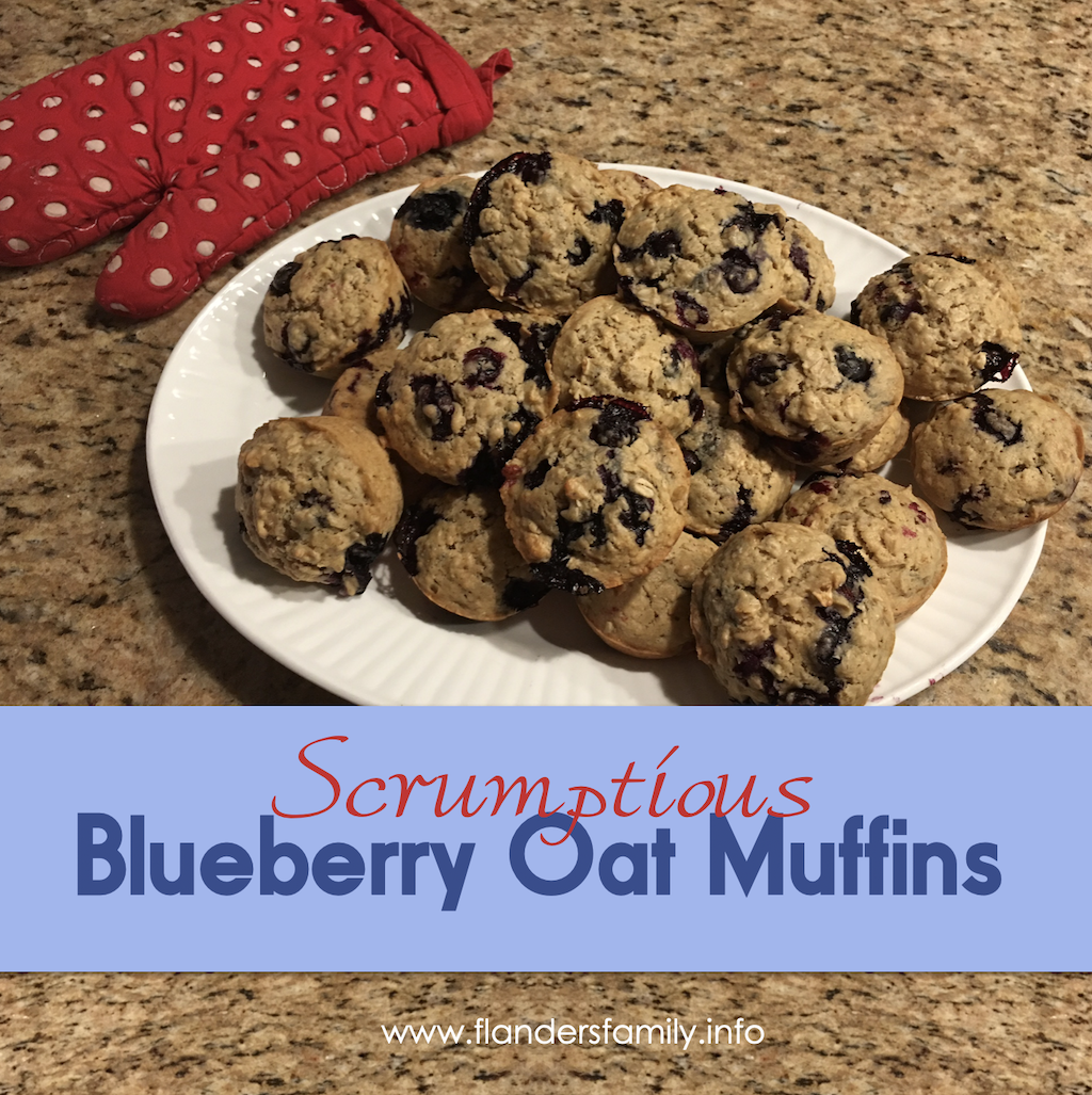 Scrumptious Blueberry Oat Muffins