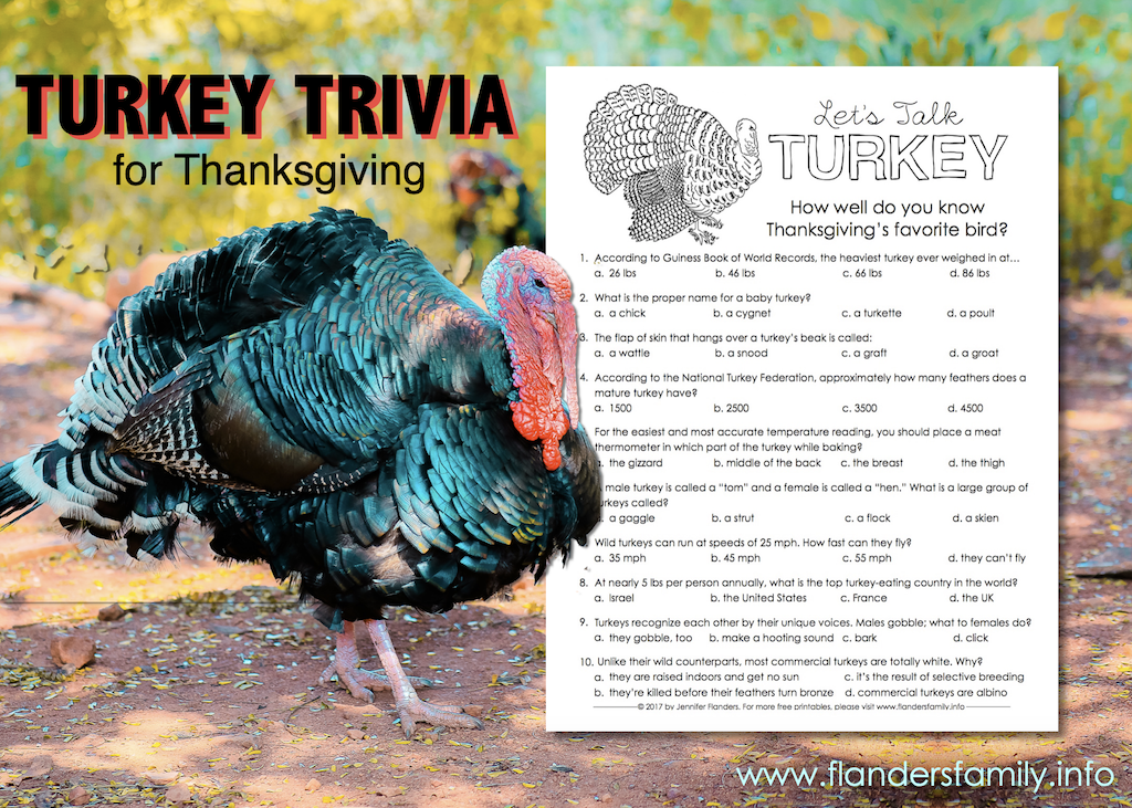 Let's Talk Turkey Trivia Test 