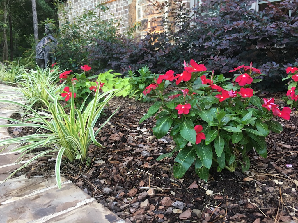 Garden bed