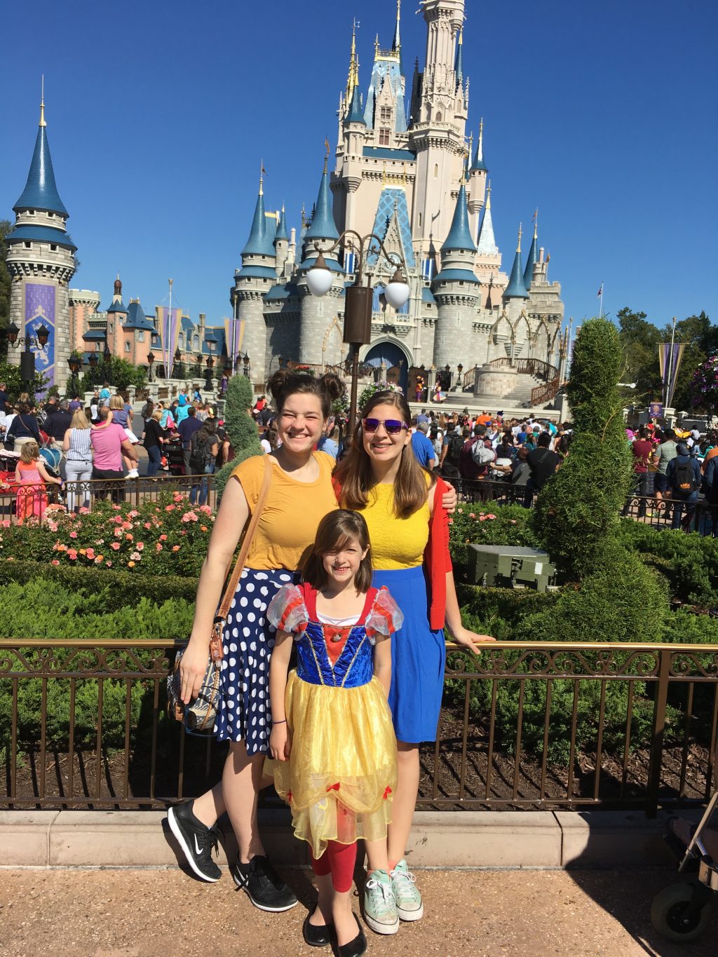 Flanders Family at Disney World