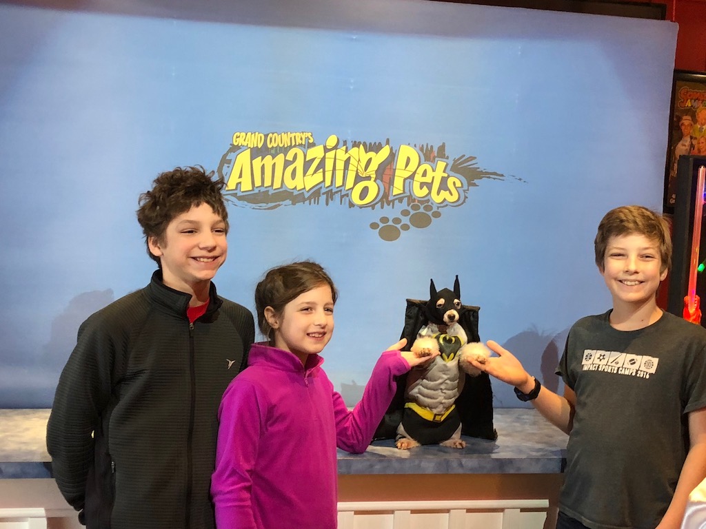 Amazing Pet Show - Fun Family Entertainment
