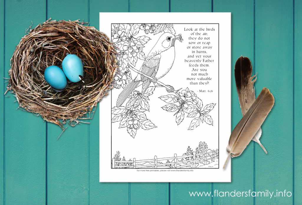 Look at the Birds (free printable coloring page from www.flandersfamily.info)
