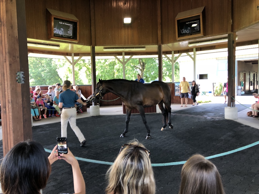 Fun (and Savings) at the Kentucky Horse Park Flanders Family Homelife