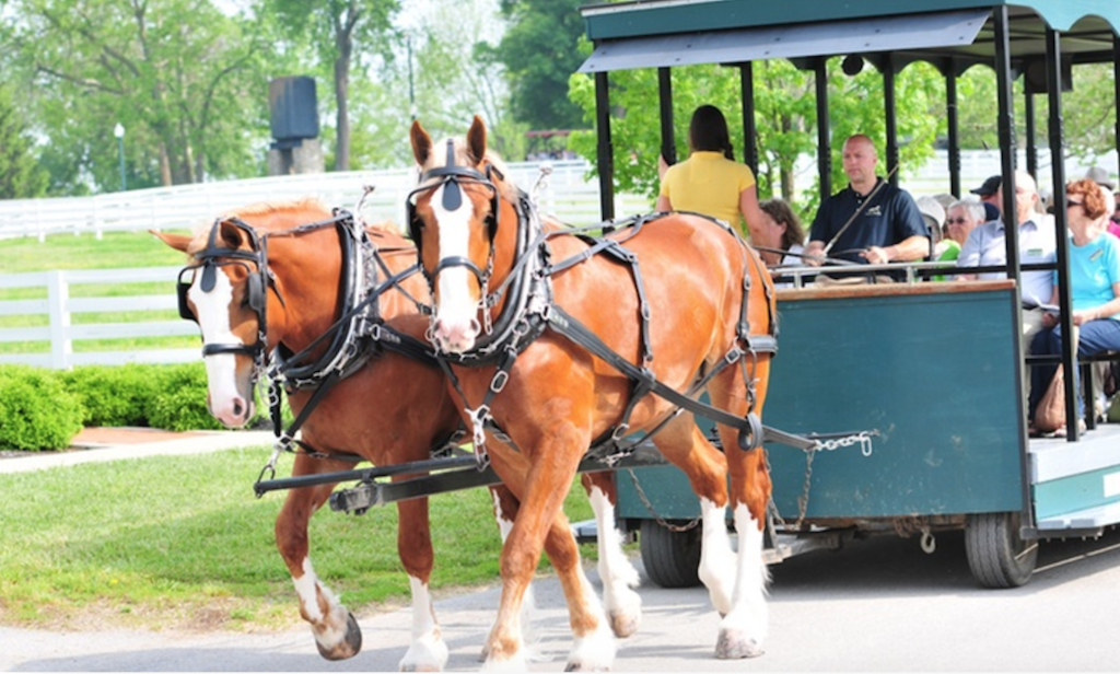 Kentucky Horse Park Seating Chart