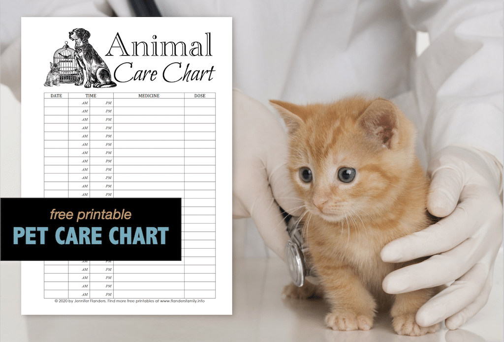 Animal Care Chart Free Printable Flanders Family Homelife