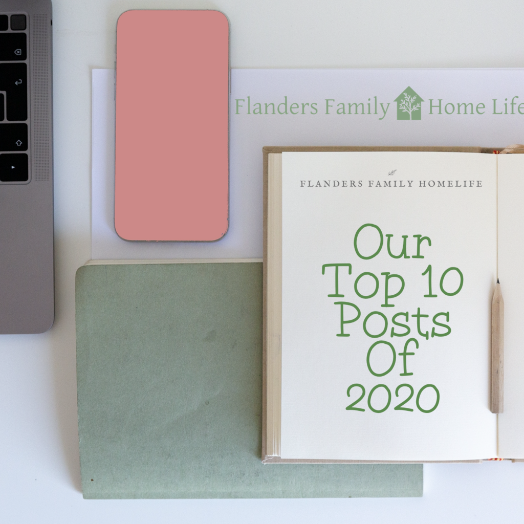 8 Things I Did Last Month (Instead of Blogging) - Flanders Family Home Life