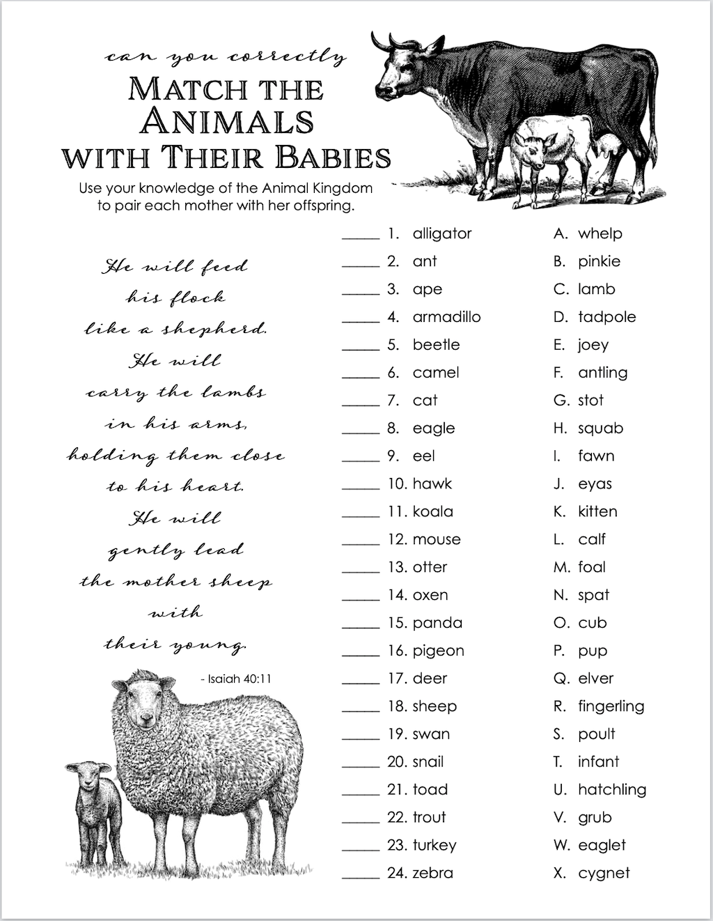 Animal Baby Name Games Flanders Family Homelife Animal Baby Name Games Flanders Family Homelife