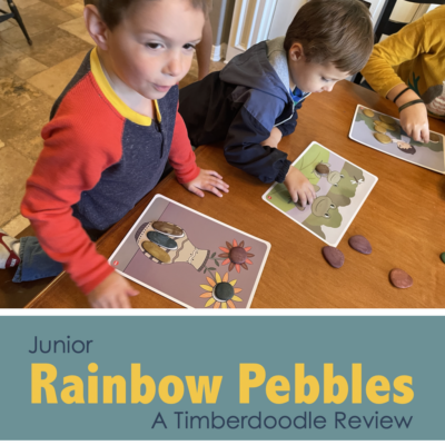 Junior Rainbow Pebbles (Timberdoodle Review)