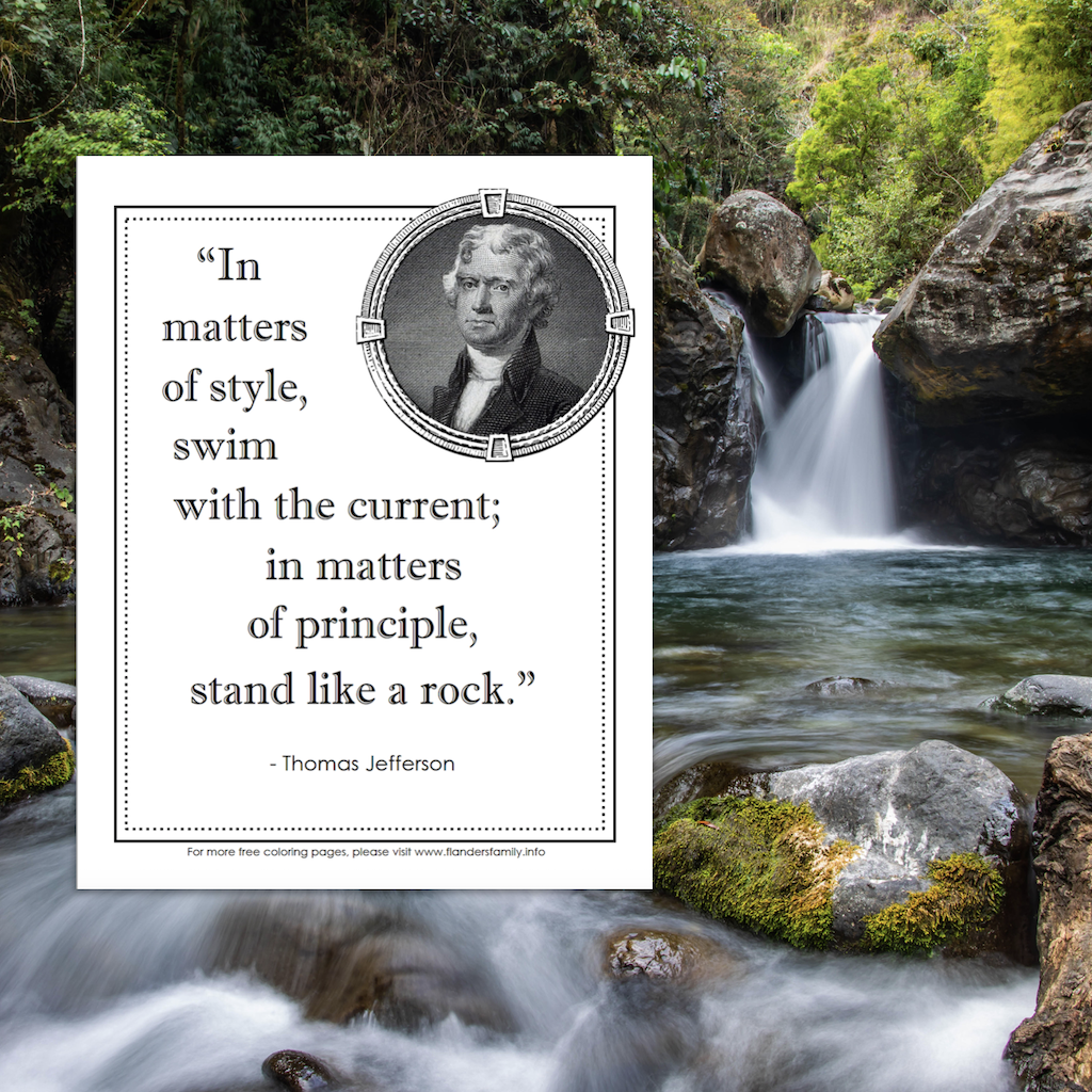 PRESIDENT THOMAS JEFFERSON QUOTE MATTERS OF STYLE SWIM WITH PHOTO PRINT 