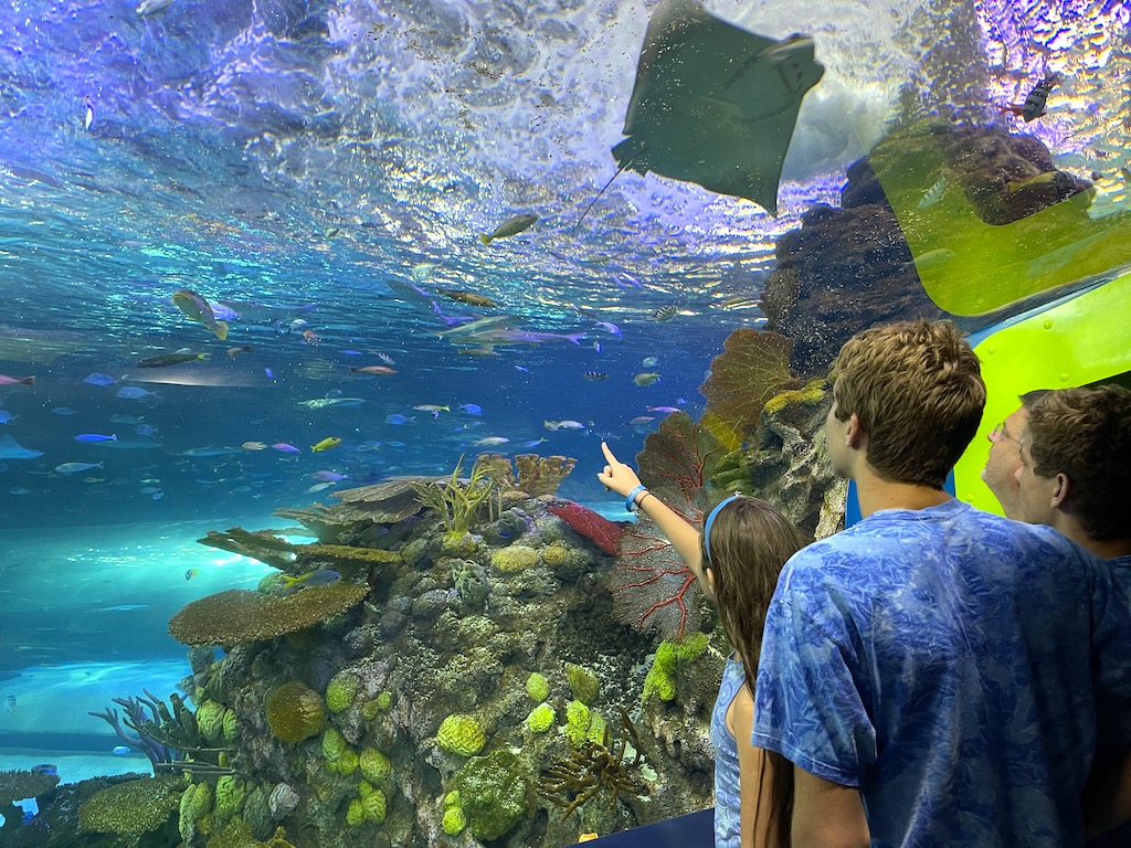 Aquarium at the Boardwalk