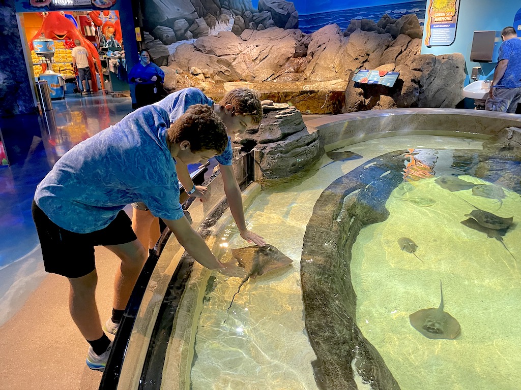 Touch Pool at Aquarium at the Boardwalk